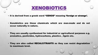  Xenobiotics: An Artistic Exploration of Chemical Interlopers - A Deep Dive into Our Alien Guests